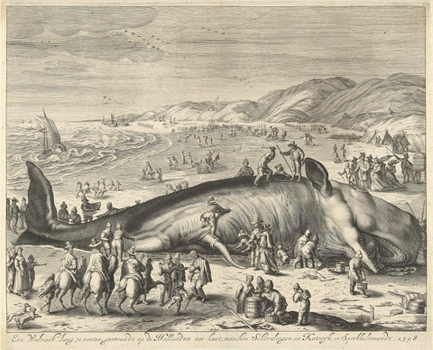 Stranded whale at Berckhey, 1598, Gilliam van der Gouwen, 1679 - 1681 Canvas Print