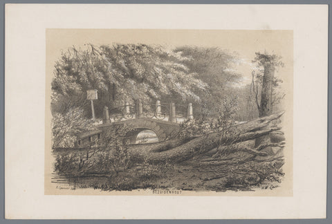 Blown down tree in Bezuidenhout, after the storm of 28 May 1860, Hendrik Wilhelmus Last, 1860 Canvas Print