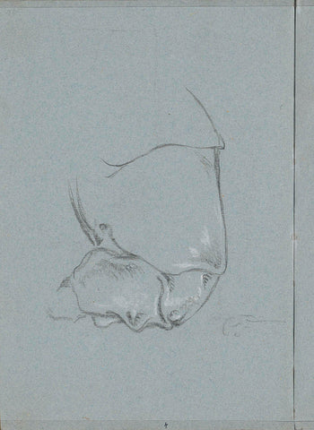 Posterior part of rhino Clara, Lorenzo Baldissera Tiepolo (circle of), c. 1751 Canvas Print