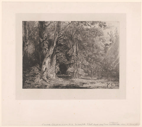 ForestScape, Paul Huet, 1830 - 1835 Canvas Print