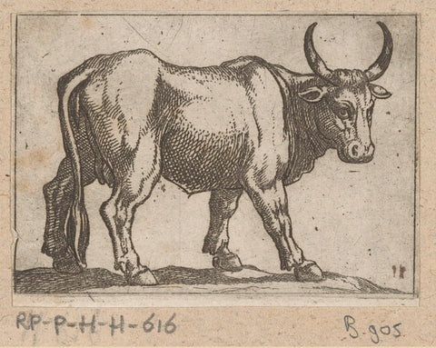 Standing bull to the right, Antonio Tempesta, 1565 - 1630 Canvas Print