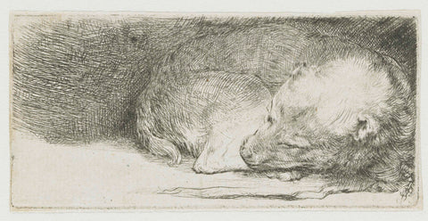 Sleeping Puppy, Rembrandt van Rijn, c. 1640 Canvas Print