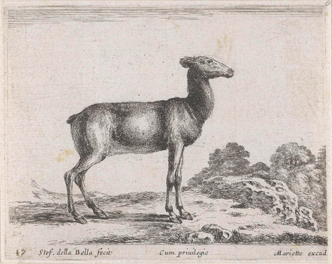 Deer, Stefano della Bella, 1620 - 1664 Canvas Print