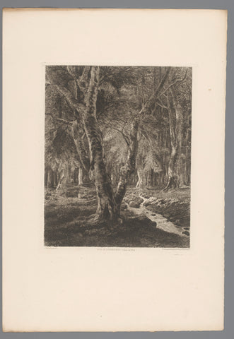 Boslandschap, Adolphe Martial Potémont, 1876 Canvas Print