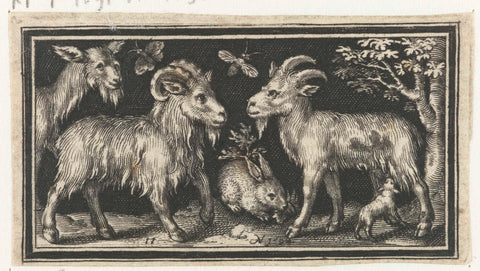 Goat and goat with young, Nicolaes de Bruyn, 1594 Canvas Print