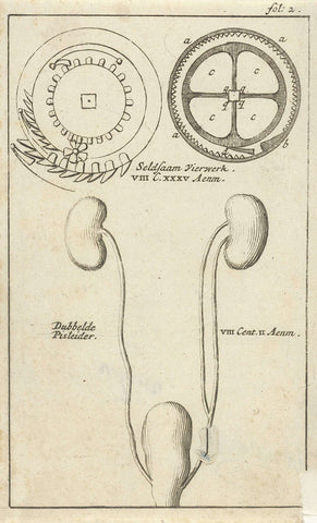 Anatomical image XXI, Jan Luyken, 1680 - 1688 Canvas Print