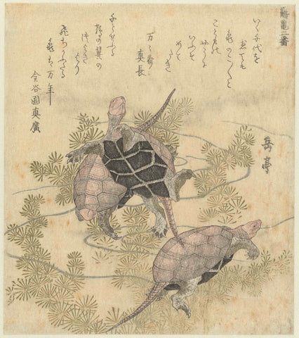 Drie schildpadden tussen waterplanten, Yashima Gakutei, c. 1815 - 1820 Canvas Print