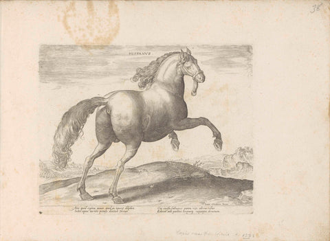 Horse from Spain, anonymous, 1624 - before 1648 Canvas Print