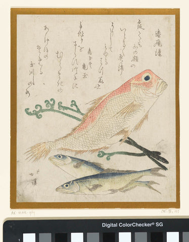 Three fish and eagle fern, Totoya Hokkei, c. 1815 - c. 1820 Canvas Print