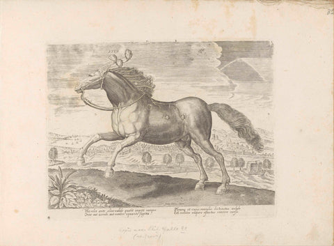 Arabian horse, anonymous, 1624 - before 1648 Canvas Print