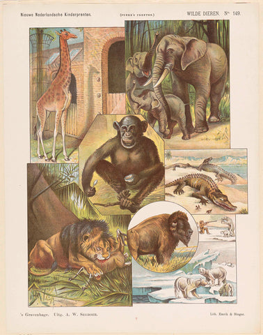 Wild animals, Arie Willem Segboer, 1903 - 1919 Canvas Print