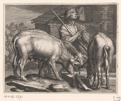 Prodigal son as pig herder with pigs by trough, Boëtius Adamsz. Bolswert, 1611 Canvas Print