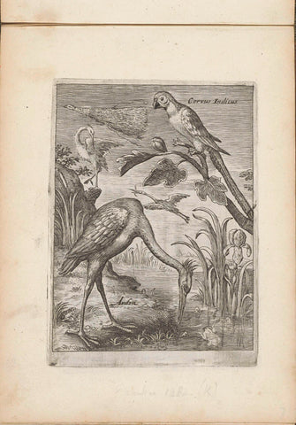 Macaw, heron and other birds in landscape, anonymous, 1635 - 1660 Canvas Print