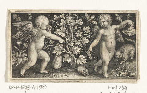 Two angels on either side of gourd plant, Nicolaes de Bruyn, 1594 Canvas Print