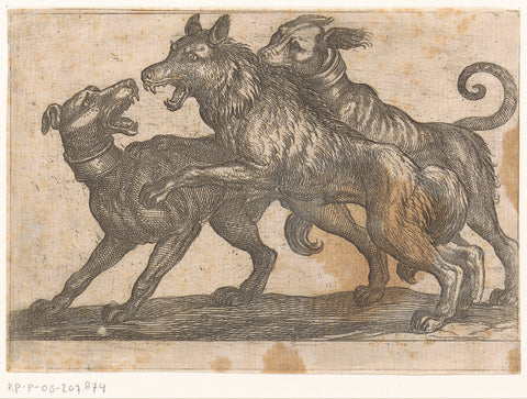 Two dogs in fight with a wolf, Antonio Tempesta, 1600 Canvas Print