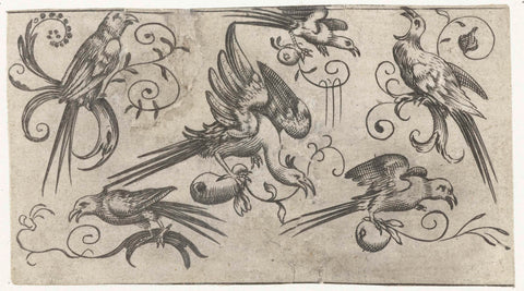 Six birds on branches with tendrils, Adriaen Muntinck (possibly), c. 1600 - c. 1699 Canvas Print