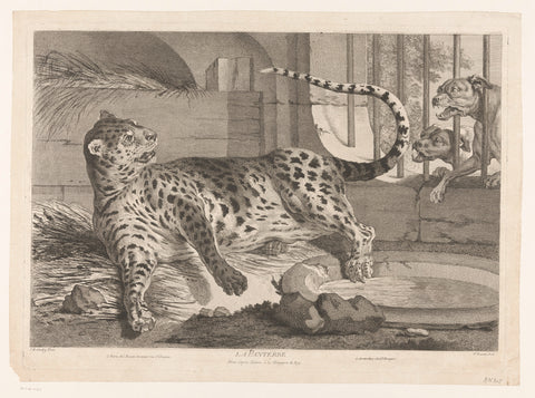 Leopard with two dogs, Pierre François Basan, 1739 - 1797 Canvas Print