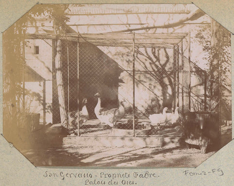 Geese in a run at the Propriété Fabre Palais des Ores in San Gervasio, anonymous, c. 1890 - c. 1900 Canvas Print