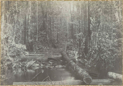 Gezicht in het bos, Hendrik Doijer (attributed to), 1906 - 1913 Canvas Print