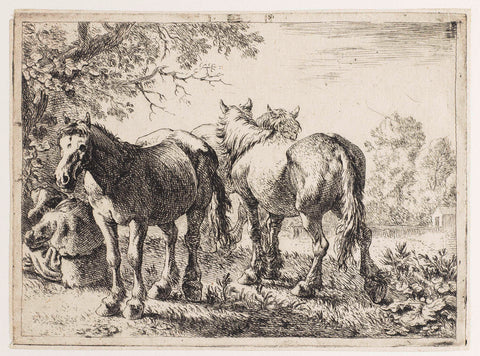 Three Horses and a Farmer, Pieter Bodding van Laer, 1636 Canvas Print