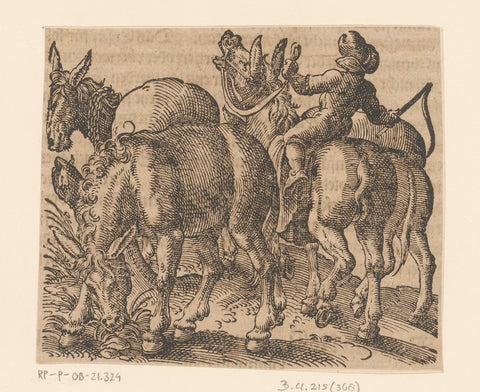 Farmer with four donkeys, anonymous, Jost Amman, 1580 Canvas Print