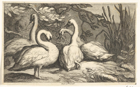 Four swans, Frederick Bloemaert, after 1635 - 1670 Canvas Print