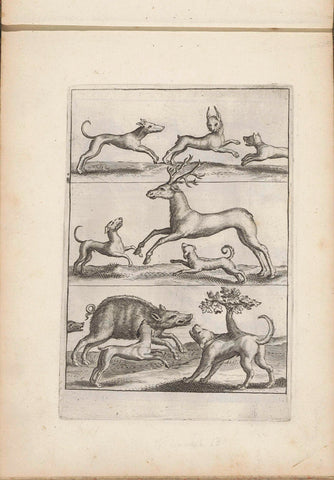 Dogs hunting a hare, a deer and a wild boar, anonymous, 1635 - 1660 Canvas Print