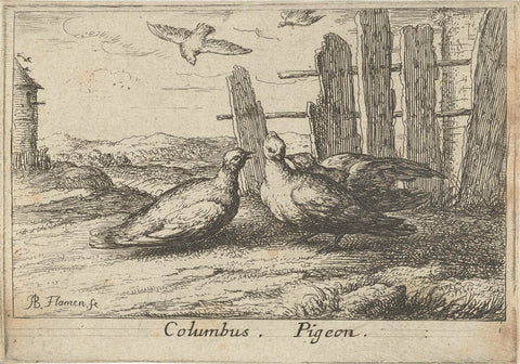 Two pigeons by a fence, Albert Flamen, 1659 Canvas Print