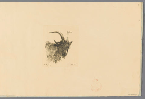 Cup of a goat, Adam von Bartsch, 1803 Canvas Print