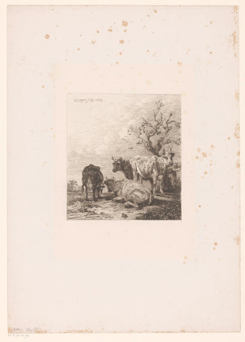 Four cows in a meadow, William Unger, 1869 Canvas Print