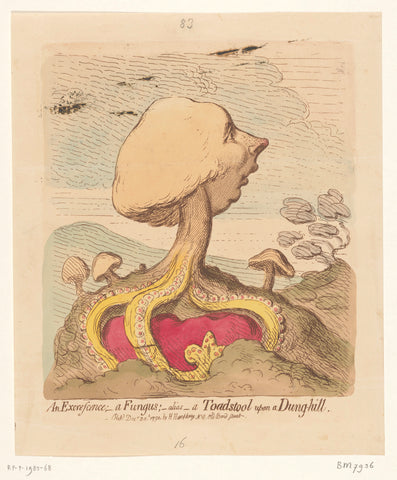 Cartoon on William Pitt the Younger, 1791, James Gillray, 1791 Canvas Print