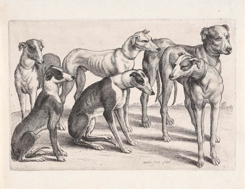 Two seated and four standing hunting dogs, Wenceslaus Hollar, 1646 Canvas Print