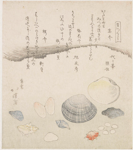 Forgotten shell, plum blossom shell and cherry shell, Totoya Hokkei, 1821 Canvas Print