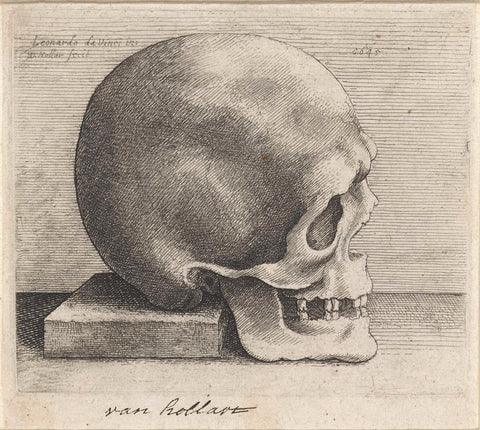 Anatomical study of a skull, Wenceslaus Hollar, 1645 Canvas Print