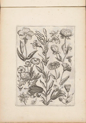 Various flowers, anonymous, 1635 - 1660 Canvas Print