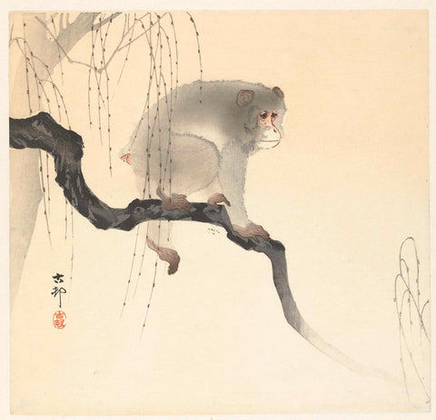 Monkey on tree branch, Ohara Koson, 1900 - 1930 Canvas Print