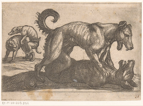 Two mating and two fighting dogs, Antonio Tempesta, 1600 Canvas Print