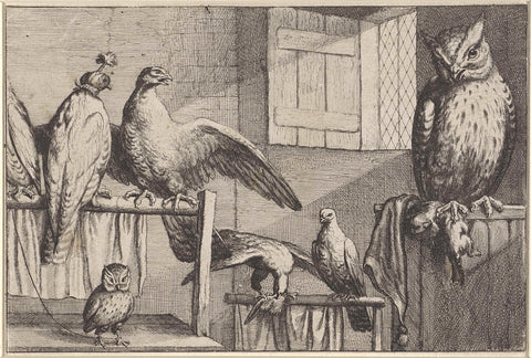 Falcons and owls in a barn, Wenceslaus Hollar, 1654 - 1662 Canvas Print