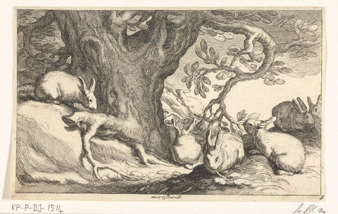 Konijnen, Frederick Bloemaert, after 1635 - 1670 Canvas Print