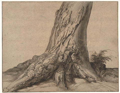 Study of a tree trunk with roots, Jacob de Gheyn (II), 1575 - 1625 Canvas Print