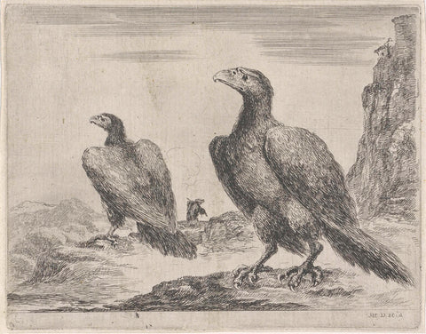 Two Eagles, Heads to the Left, Stefano della Bella, 1620 - 1664 Canvas Print