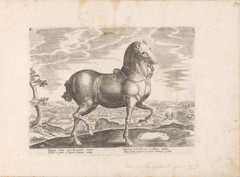 Horse from England, anonymous, 1624 - before 1648 Canvas Print