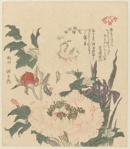 Peonies and irises, Kubota Shunman, c. 1890 - c. 1900 Canvas Print