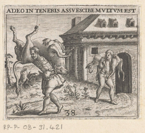 Man carries bull on his back, Theodor de Bry, 1596 Canvas Print