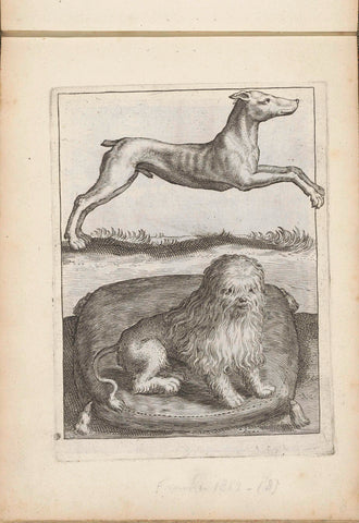 Two dogs, anonymous, 1635 - 1660 Canvas Print