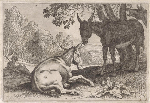 Donkeys, anonymous, 1636 - 1705 Canvas Print