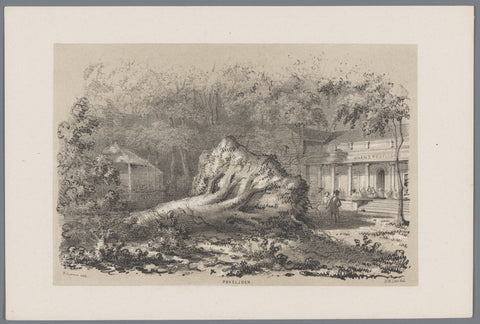 Fallen tree at the Pavilion, after the storm of May 28, 1860, Hendrik Wilhelmus Last, 1860 Canvas Print