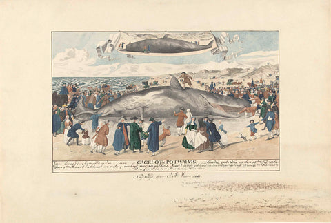 Sperm whale stranded at Egmond aan Zee, 1764, JA Visser, 1840 Canvas Print