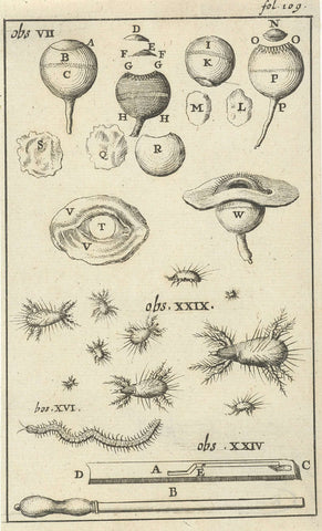 Anatomical image V, Jan Luyken, 1680 - 1688 Canvas Print