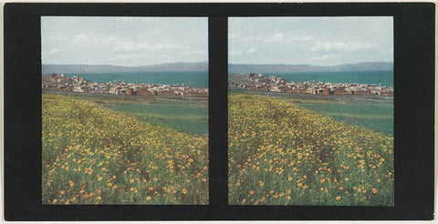 View of Tiberias, Israel, anonymous, Farbenphotographischen Gesellschaft, 1911 - 1919 Canvas Print